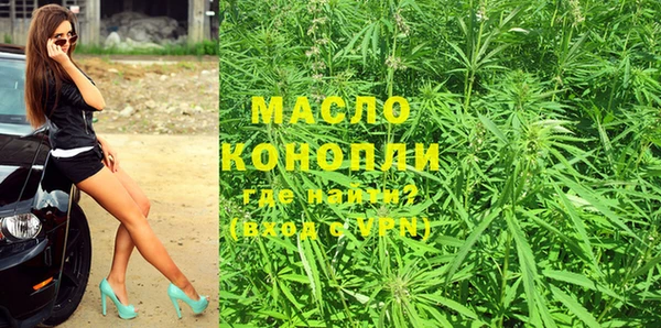 молекула духа Лабытнанги