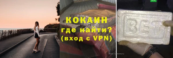 индика Белая Холуница