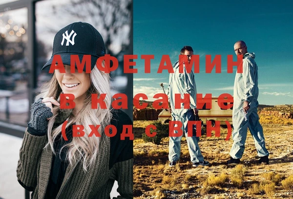 индика Белая Холуница