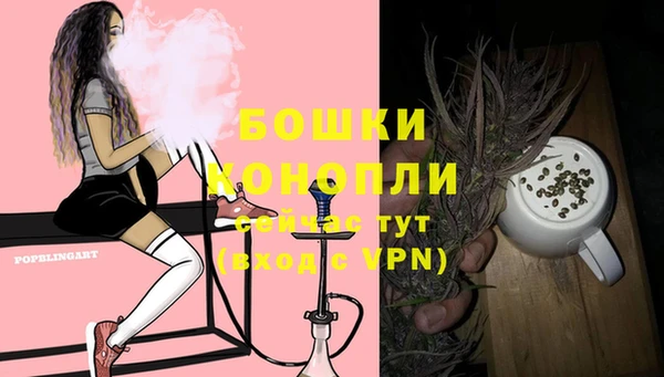 гашик Липки